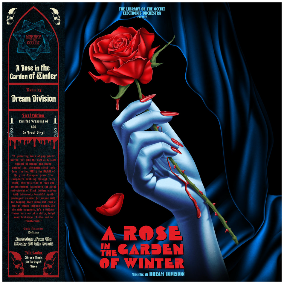 Dream Division - A Rose In The Garden Of Winter LP Vinyl